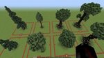 minecraft giant tree schematic - Pregnant Center Information